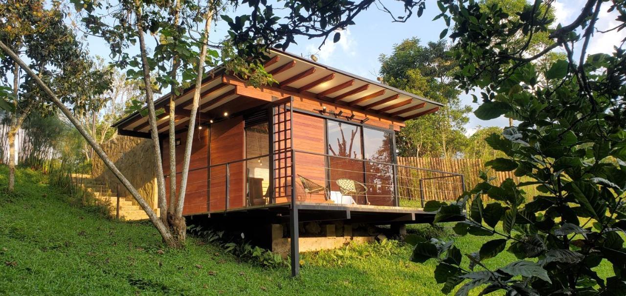 Ecohotel Alma Calarcá Zewnętrze zdjęcie