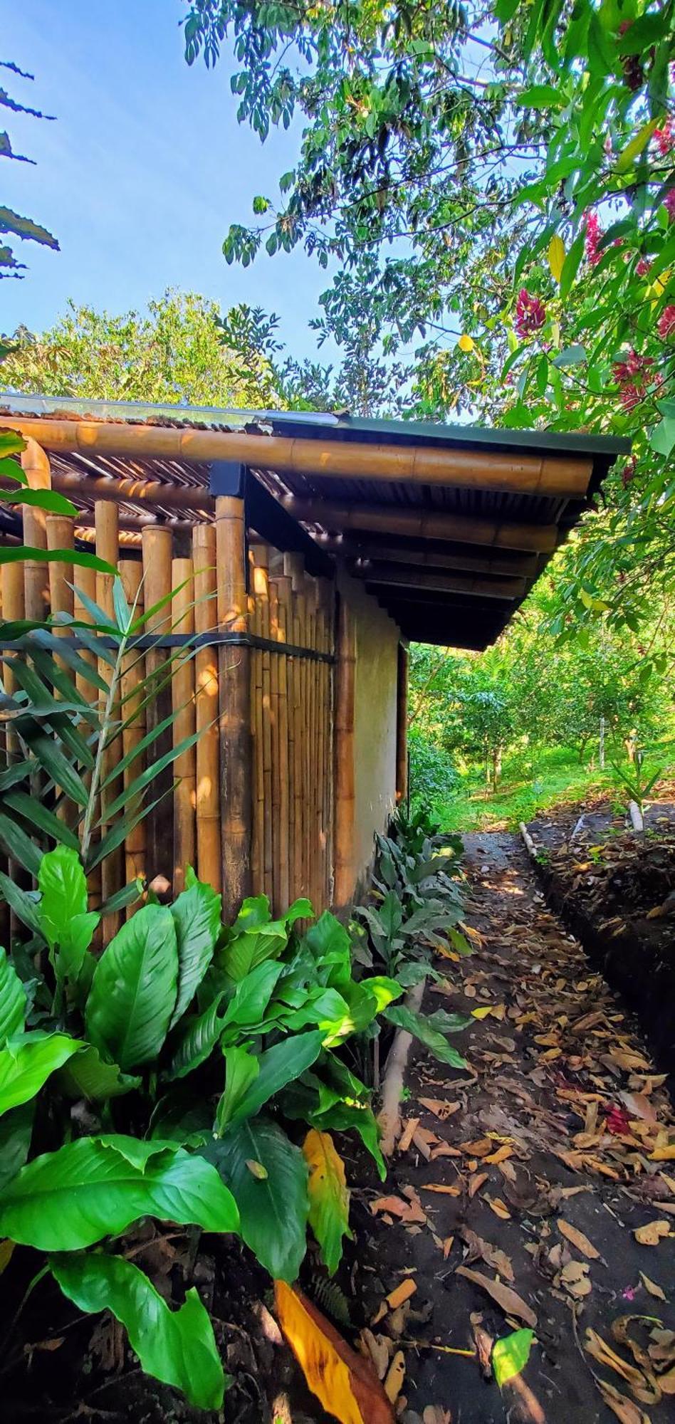Ecohotel Alma Calarcá Zewnętrze zdjęcie