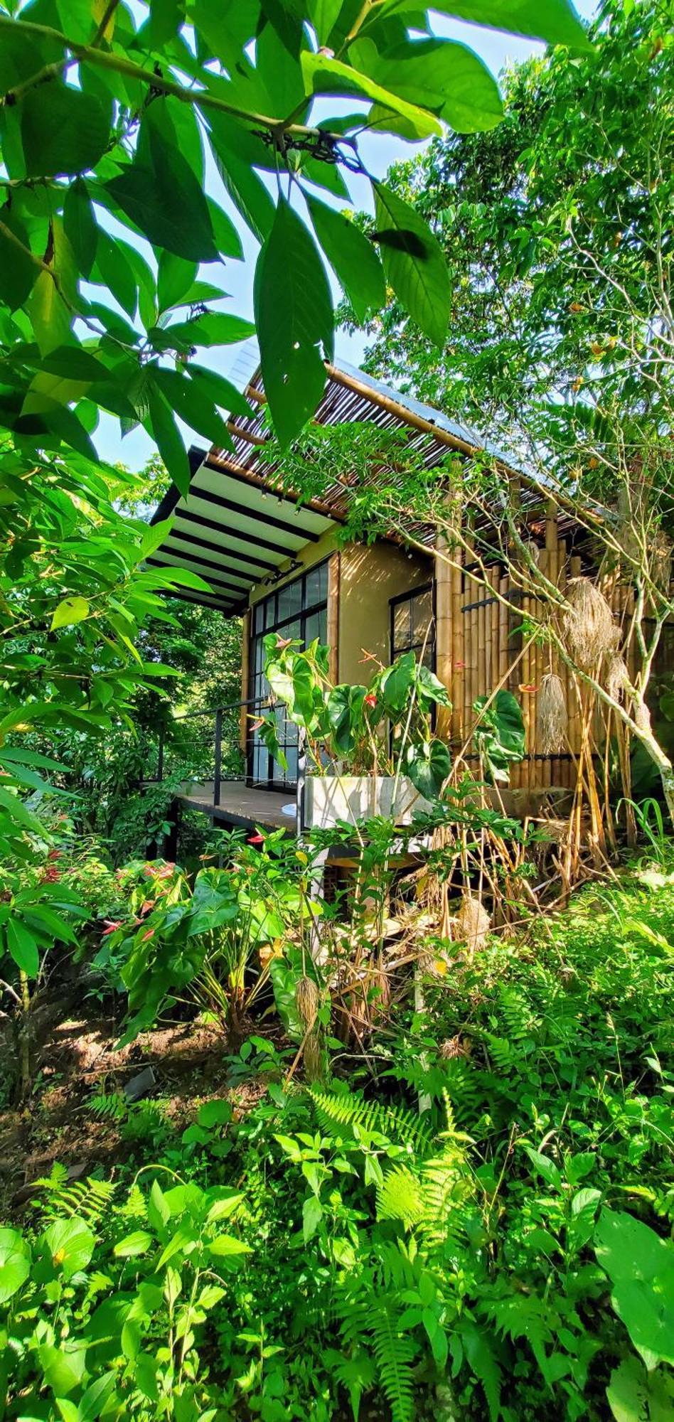 Ecohotel Alma Calarcá Zewnętrze zdjęcie